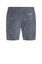 view 2 of 5 Cabana Towel Terry Sweatshort in Eastern Storm