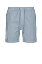 view 1 of 5 Essential Drawstring Short in Flintstone