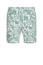 view 1 of 5 Cabana Towel Terry Sweatshort in Poolside Foliage Teal