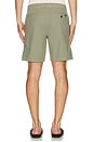 view 2 of 4 Essential Chino Shorts in Trail Olive