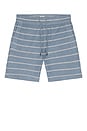 view 4 of 4 SHORT MOLLETON in Seabrook Stripe