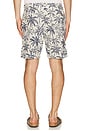 view 2 of 5 SHORTS DEPORTIVOS in Ivory Tropic Trees