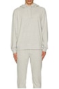 view 3 of 3 Legend Hoodie in Light Grey Heather