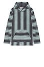 view 1 of 4 Whitewater Hoodie in Teal Channel Stripe