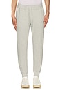 view 3 of 4 Legend Sweatpants in Light Grey Heather