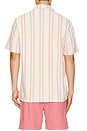 view 2 of 4 CHEMISE in Pink Springs Stripe