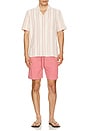 view 3 of 4 CHEMISE in Pink Springs Stripe