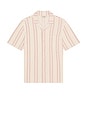 view 4 of 4 CHEMISE in Pink Springs Stripe