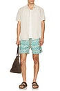 view 3 of 5 T-SHIRT DE BAIN in Biscayne Leafy Vine