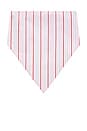 view 2 of 2 PAÑUELO LUCIA in Fiori Stripe Palazzo