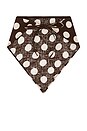 view 3 of 3 Simona Head Scarf in Cioccolato Dot
