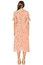 view 3 of 3 Nina Midi Dress in Salina Print