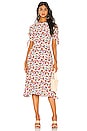 view 1 of 3 Emilia Dress in Lumina Floral