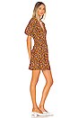 view 2 of 3 Ilia Mini Dress in Chocolate Nicasia Floral
