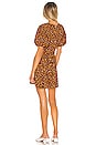 view 3 of 3 Ilia Mini Dress in Chocolate Nicasia Floral
