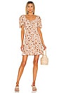 view 1 of 3 Agathe Mini Dress in Wiley Floral