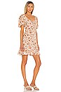 view 2 of 3 Agathe Mini Dress in Wiley Floral
