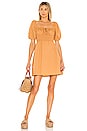 view 1 of 3 Mariette Mini Dress in Plain Caramel
