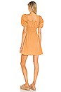 view 3 of 3 Mariette Mini Dress in Plain Caramel