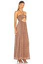 view 2 of 3 La Costa Maxi Dress in Vadella Print Cocoa