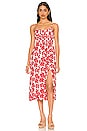 view 1 of 3 Orsitta Midi Dress in La Presa Floral Print