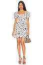 view 1 of 4 Calabria Mini Dress in Vimara Floral Print