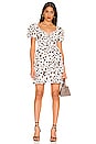 view 2 of 4 Calabria Mini Dress in Vimara Floral Print