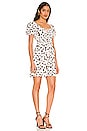 view 3 of 4 Calabria Mini Dress in Vimara Floral Print