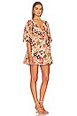 view 2 of 3 Faria Mini Dress in Kaiya Floral Print