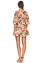 view 3 of 3 Faria Mini Dress in Kaiya Floral Print