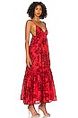 view 2 of 3 Anisha Maxi Dress in Zani Floral Print