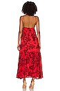 view 3 of 3 Anisha Maxi Dress in Zani Floral Print
