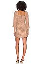 view 3 of 3 Boyd Mini Dress in Del Camaron Print