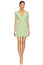 view 1 of 3 La Belle Mini Dress in Lou Floral Print Green