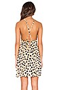 view 3 of 5 Naples Dress in Django Print
