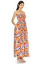 view 2 of 3 X Revolve Tergu Maxi Dress in Blossom
