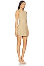 view 2 of 3 Eveline Mini Dress in Caramel