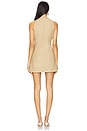 view 3 of 3 Eveline Mini Dress in Caramel