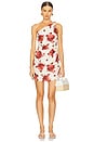 view 1 of 3 Marga Mini Dress in Cecile Floral & Garnet