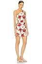 view 2 of 3 Marga Mini Dress in Cecile Floral & Garnet