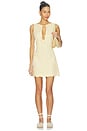 view 1 of 3 Alondra Mini Dress in Daffodil