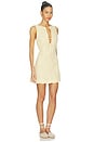 view 2 of 3 Alondra Mini Dress in Daffodil