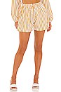 view 1 of 4 Sereno Shorts in Martie Stripe Print
