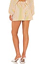 view 3 of 4 Sereno Shorts in Martie Stripe Print