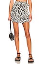 view 1 of 4 x REVOLVE Salvi Skort in Ayu Print