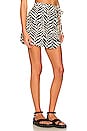 view 2 of 4 x REVOLVE Salvi Skort in Ayu Print