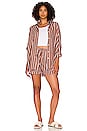 view 4 of 4 Sereno Shorts in Maya Stripe Print