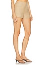 view 2 of 6 Florine Mini Shorts in Caramel