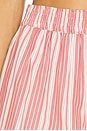 view 6 of 6 Elva Shorts in Cherry Stripe