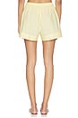view 4 of 6 Lonia Short in Elisa Stripe Daffodil White